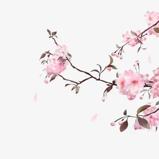 清新小花卡通插画1免抠手绘/卡通手绘元素 清新小花卡通插画1免抠手绘/卡通手绘元素