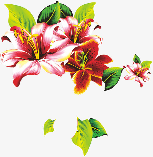 百合花朵免抠