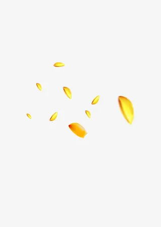 漂浮的荷花花瓣免抠