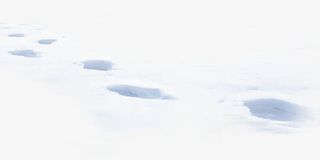 雪地脚印免抠
