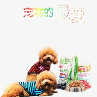 宠物最爱宠物店宣传单免抠