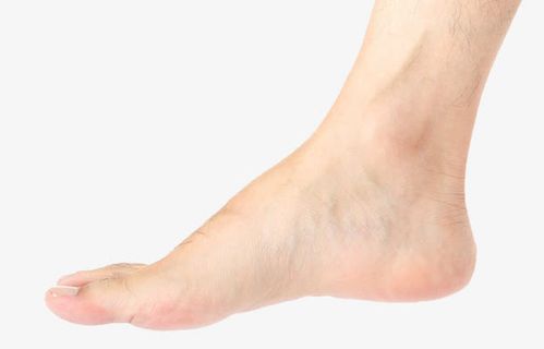 左脚图片免抠