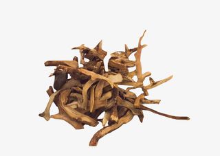 中药骨碎补实物图免抠