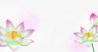 中国风三维荷花艺术店铺通用背景