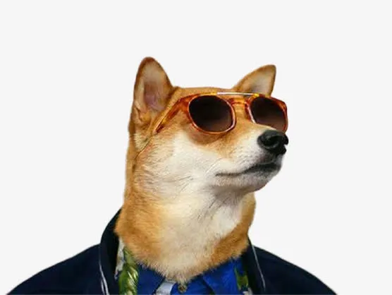 可爱的柴犬素材图片免抠