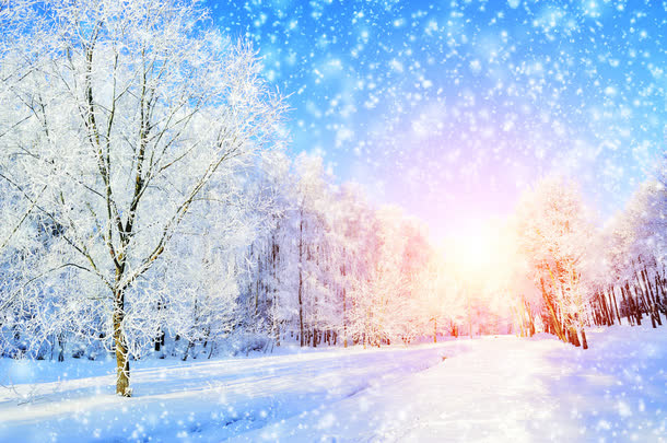 梦幻冰雪主题海报免抠