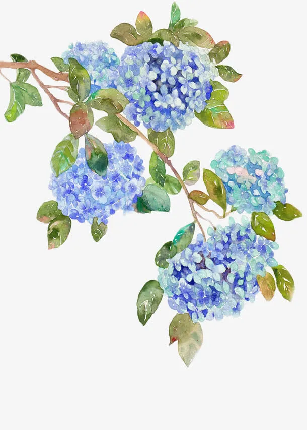 手绘印花古典素描插画免抠