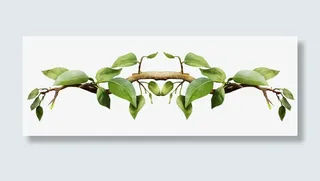 对称树枝装饰图案免抠