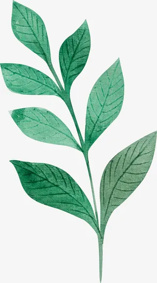 绿色绿叶树叶免抠