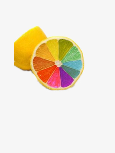 彩色橙子矢量图免抠