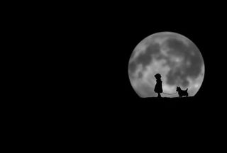 创意彩绘风格月亮动画人物免抠