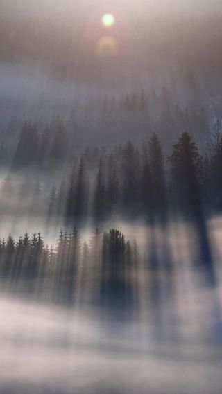 简约阳光风景手机端H5背景高清