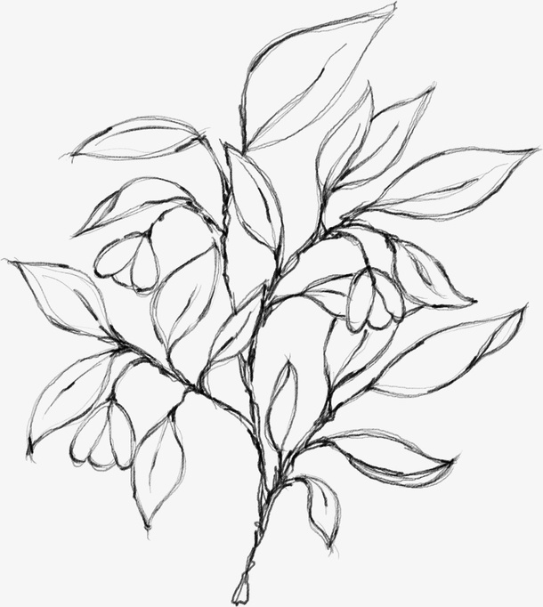 水墨花朵元素43免抠