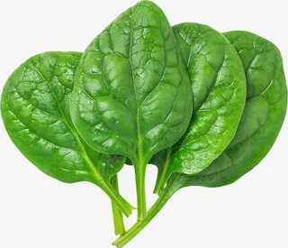 产品实物菜叶子免抠