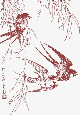 燕窝小鸟创意养生免抠