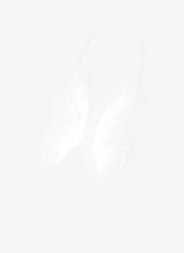 蝴蝶免抠