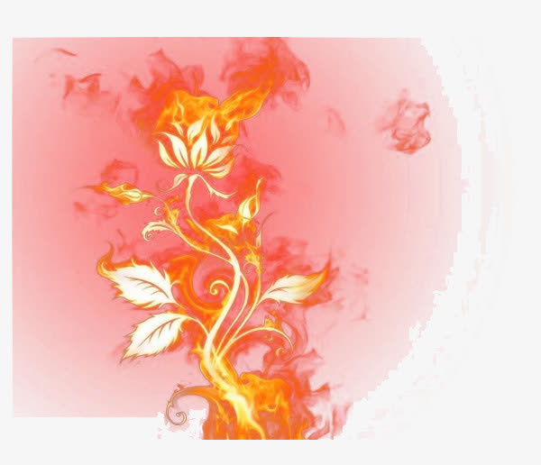 花朵成长免抠
