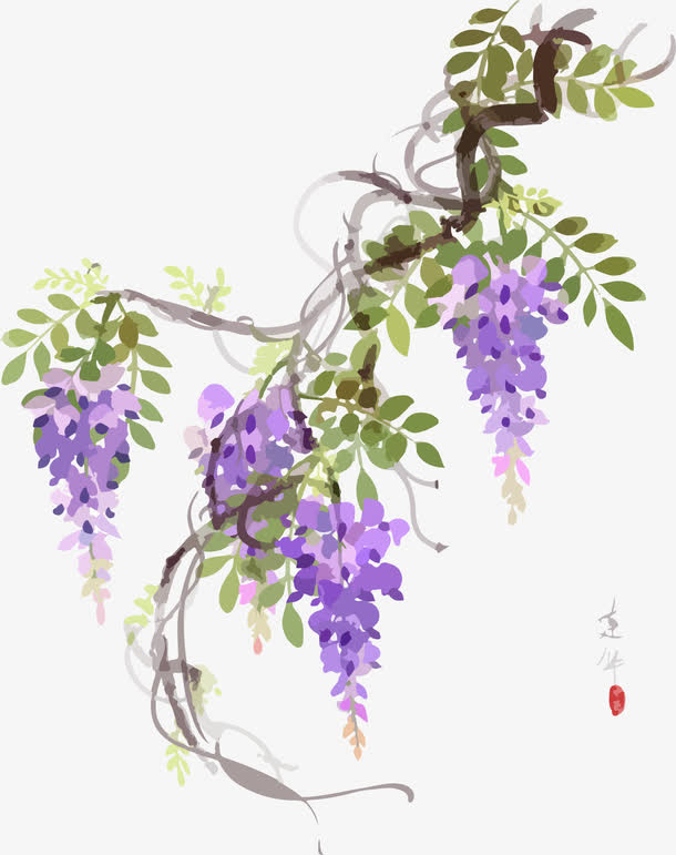 古风紫藤免抠