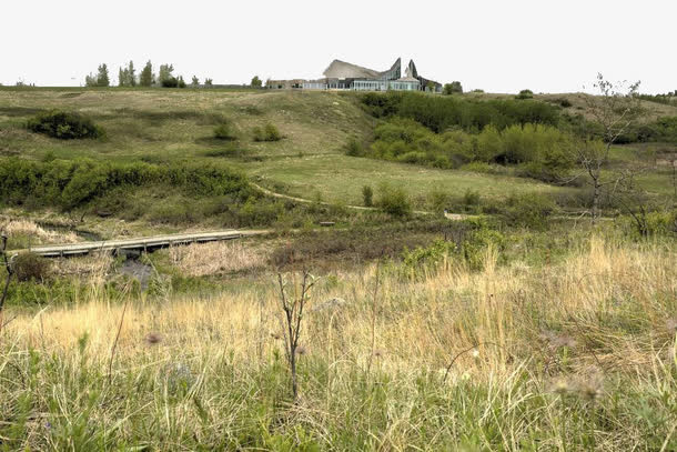 杂草丛生的地方免抠