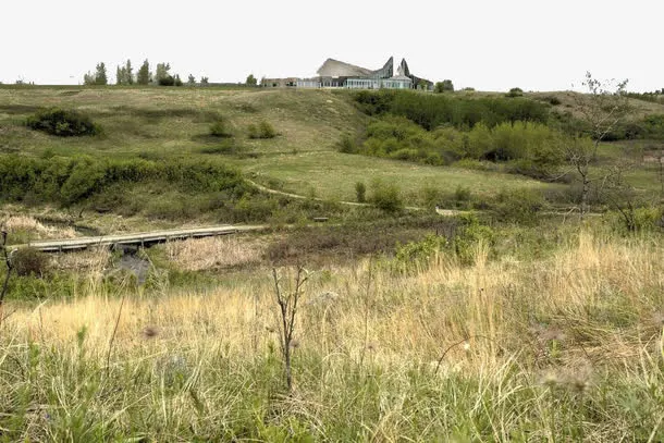 杂草丛生的地方免抠