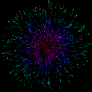 彩色爆炸烟花高清