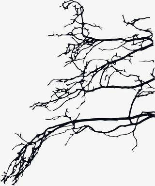 黑色线条枯树免抠