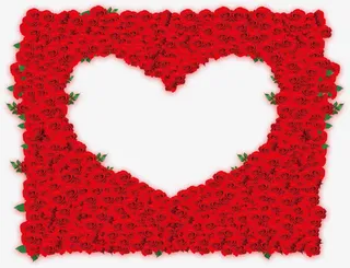 玫瑰花心形花瓣免抠