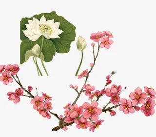 中国风素材图片免抠