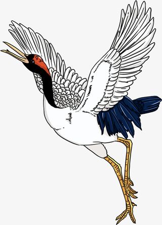 仙鹤国潮白鹤丹顶鹤免抠