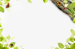 边角装饰免抠