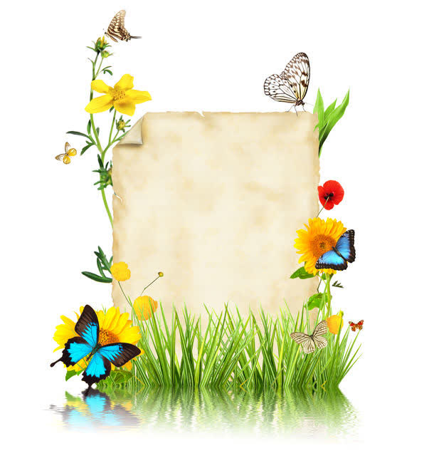 卷纸纸张背景与鲜花草地免抠背景底纹元素