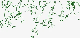 绿色手绘清新树枝免抠