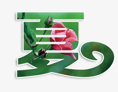 夏夏上新艺术字免抠