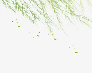 清新风吹柳叶免抠