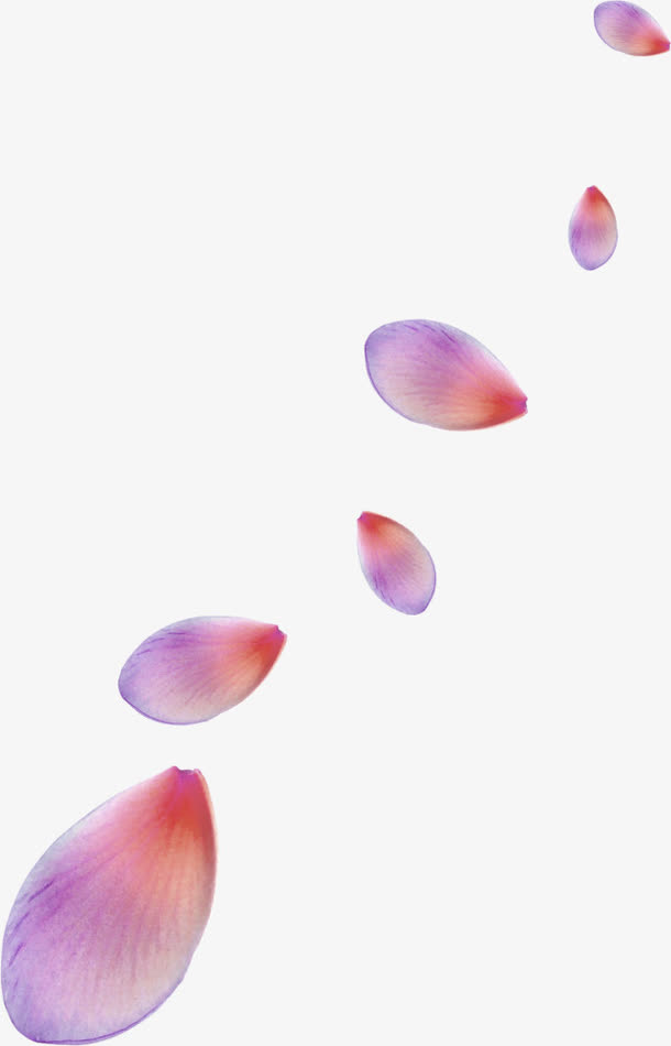 紫色清新花瓣漂浮素材免抠