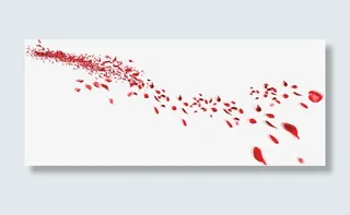 大气玫瑰花瓣白底较长免抠