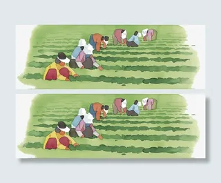 水彩插图收割粮食免抠