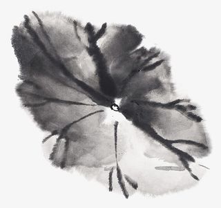 中国画荷叶免抠