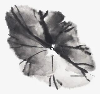 中国画荷叶免抠