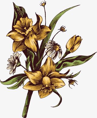 花朵线稿卡通小花朵免抠