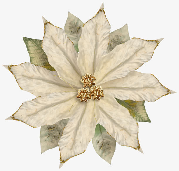 枯叶枯花免抠