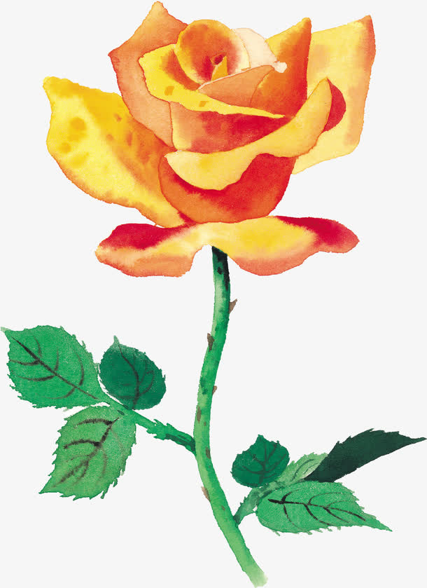 花卉免抠