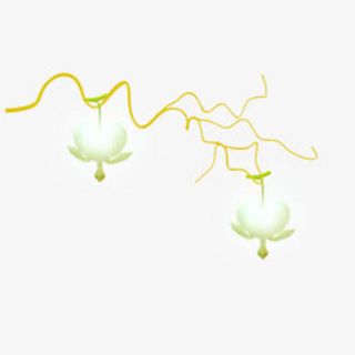 免抠 黄色树枝 白色花朵免抠