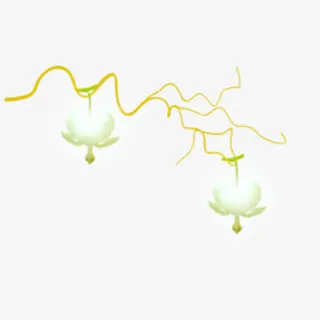 免抠 黄色树枝 白色花朵免抠