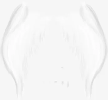 天使的双翼翅膀免抠