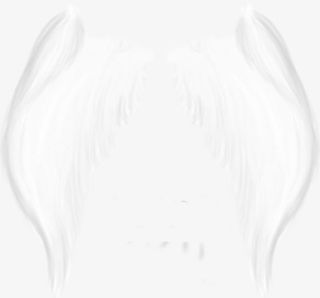 天使的双翼翅膀免抠