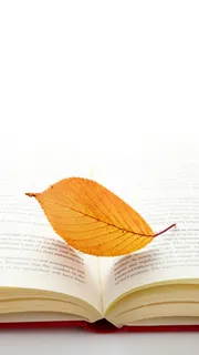 简约读书日手机端H5背景高清