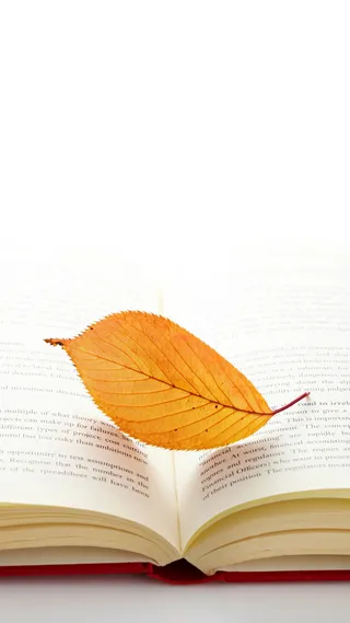 简约读书日手机端H5背景高清