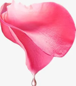 玫瑰花瓣免抠