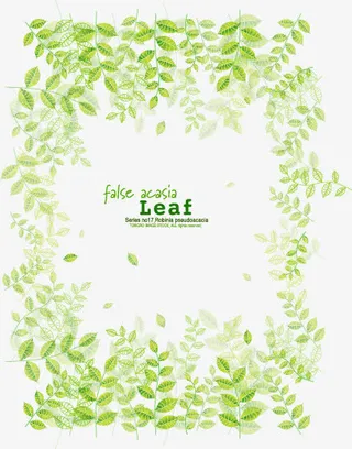 卡通春天清新树叶边框免抠